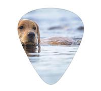 Golden Retriever Perros flotantes Mascotas Labrador,12 púas de guitarra, 3 grosores diferentes para guitarra acústica, bajo y ukelele