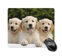 Golden Retriever Puppies - Alfombrilla de mouse cuadrada portátil con base de goma antideslizante de 18 x 22 cm, alfombrilla de mouse ultrafina para juegos para computadora, laptop, oficina