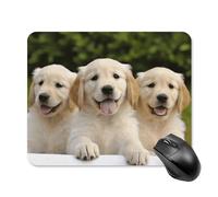 Golden Retriever Puppies - Alfombrilla de mouse cuadrada portátil con base de goma antideslizante de 20 x 25 cm, alfombrilla de mouse ultrafina para juegos para computadora, laptop, oficina