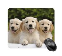 Golden Retriever Puppies - Alfombrilla de mouse cuadrada portátil con base de goma antideslizante de 25 x 30 cm, alfombrilla de mouse ultrafina para juegos para computadora, laptop, oficina