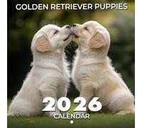 Golden Retriever Puppies Calendar 2026: Sweet Beginnings and Joyful Growth | Kalender Calendario Calendrier