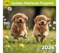 Golden Retriever Puppies Calendar 2026: Sweet Beginnings and Joyful Growth | Kalender Calendario Calendrier