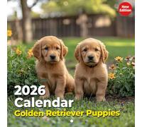 Golden Retriever Puppies Calendar 2026: Sweet Beginnings and Joyful Growth | Kalender Calendario Calendrier
