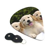 Golden Retriever Puppies - Paquete de 6 púas de guitarra con soporte de cuero para púas de guitarra, funda para llavero de púa, bolsa para llavero, púa de arte abstracto para guitarra eléctrica