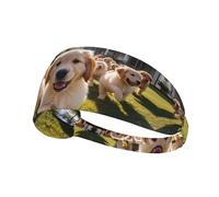 Golden Retriever Puppies Picture Diadema elástica para ejercicio, diadema para hombres y mujeres, banda para el pelo para yoga fitness