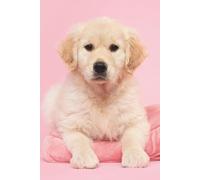 Golden Retriever Puppy Journal: Hardcover, 6 x 9 Inches, 180 Pages, Blank Lined Notebook, Matte Finish. Dog and Animal Lover, Cute Dogs and Puppies, Mental Wellness and Stress Management Journals