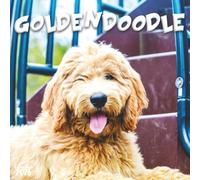 Goldendoodle Doodle Dreams Joy 2026 Calendar: 12 Months of Fluffy Paws and Playful Moments