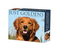Willow Creek Press, Just Goldens 2027 - Calendario de caja de 5.4 x 6.2 pulgadas