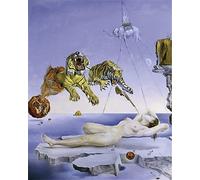 GOLDFI Diamond Painting DIY 5D by Number Kits para adultos niños Rhinestone bordado Home Decor - Salvador Dali Famous Painting Party And Tiger 30×40cm