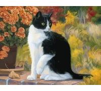 GOLDFI Kits de pintura de diamante 5D DIY por números, pintura de gato blanco y negro con diamantes, suministro artístico, lienzo, decoración de pared, 40 × 50 cm