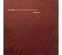 Goldwave - What the Darkness Proposes [Vinilo]