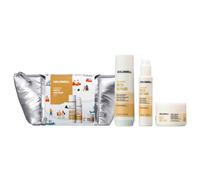 Goldwell Dualsenses Rich Repair Set (champú de 250 ml + mascarilla de 200 ml + sérum de 100 ml + bolsa)