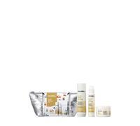 Goldwell Dualsenses Rich Repair Set - Champú reconstructor, tratamiento de 60 segundos y sérum de 6 efectos para cabello dañado Set de cuidado capilar 1 piezas