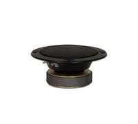 Goldwood Sound - Altavoz Sellado de 100 W, 4 Ohm, Rango Medio, Color Negro (GM-65/4)