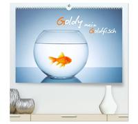 Goldy - mein Goldfisch (hochwertiger Premium Wandkalender 2026 DIN A2 quer), Kunstdruck in Hochglanz: Lasse dich von Goldy dem Goldfisch ein Jahr in 12 Bildern begleiten