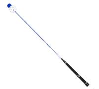 Golf Swing Trainer Stick, Golf Swing Training Aid Tool, Gesture Correction Exerciser Ergonomic Grip, Lightweight Ball Sport Equipment for Beginners Outdoor Practice Playground Use, 112cm Fiberglass
