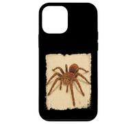 Goliat Birdeater Tarántula Araña Tropical Arácnidos Amantes Carcasa para iPhone 12 Mini