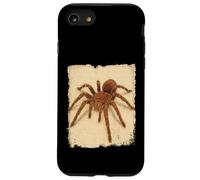 Goliat Birdeater Tarántula Araña Tropical Arácnidos Amantes Carcasa para iPhone SE (2020) / 7/8