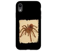 Goliat Birdeater Tarántula Araña Tropical Arácnidos Amantes Carcasa para iPhone XR