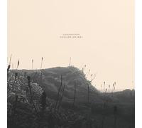 Goliath Awakes [Vinilo]