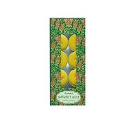 GOLOKA Nature's Nest - Vela de té (10 unidades)