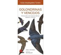 golondrinas y vencejos - guias desplegables tundra
