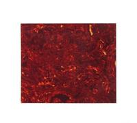 Golpeador de guitarra acústica de 20 x 17 cm, lámina en blanco, placa de arañazos, autoadhesiva, película protectora transparente (tortuga roja)