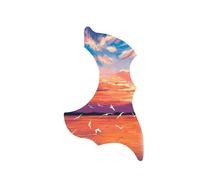 Golpeador de guitarra folk de 38 pulgadas y 41 pulgadas tablero de protección pintado personalizado para guitarra acústica Golpeador Guitarra Engrosado(Soaring high)