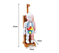 Gonetre Juguete Modelo Esqueleto con Juego de Escritorio para e | Plástico ABS, Accesorios de Parodia de Terror, 31x23x13cm, Juego de 16 Cartas, Efectos de Sonido de Pánico Activados,