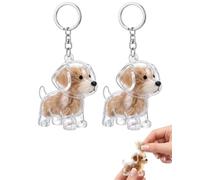 GONZTEL Llavero Coleccionador Pelo Perro y Gato | 2 Uds Plástico Transparente | DIY Cápsula Almacenamiento Seguro | Reliquia Sentimental y Homenaje para Amantes de Mascotas