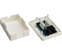 Goobay 4040849776328 RJ-45 Blanco Caja de tomacorriente - Caja registradora (50 mm, 65,8 mm, 25 mm)