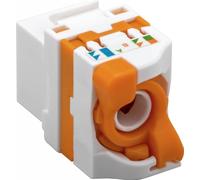 goobay 93826 - Conector RJ45 (cat. 6, sin apantallamiento), color blanco