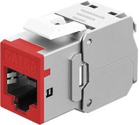 goobay Acoplamiento RJ45 Keystone RJ45 LAN Cable Conector - Slim STP Modul, 16,6 mm de ancho, montaje LSA sin herramientas, CAT 6A, apto para PoE+, carcasa de zinc fundido a presión, 10 Gbit, rojo