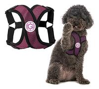 GOOBY Choke Free Comfort X - Arnés para Perro, Talla XL, Color Morado
