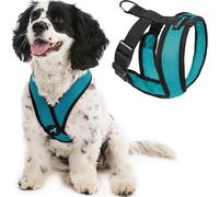 Gooby Comfort X Head-in - Arnés para Perro con diseño en X Patentado antiahogo y antitirones para Perros pequeños o medianos, para Uso en Interiores y Exteriores, Color Turquesa, Talla L