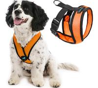 Gooby Comfort X Head-In - Arnés para Perro con diseño Patentado antiahogo y sin tirones para Perros pequeños o medianos, para Uso en Interiores y Exteriores, Color Naranja, Talla M