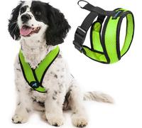 Gooby Comfort X Head-In - Arnés para Perro con Marco en X Patentado Anti ahogo y sin tirones para Perros pequeños o medianos, para Uso en Interiores y Exteriores, Color Verde, Talla M