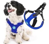 Gooby Escape Free Arnés Deportivo para Perros pequeños de Neopreno Patentado sin estrangulamiento, Ajuste de 4 Puntos, para Perros pequeños y medianos sin tirones, para Uso Diario, Azul, Talla S