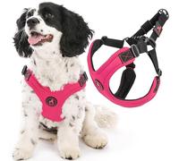 Gooby Escape Free Arnés Deportivo para Perros pequeños de Neopreno Patentado sin estrangulamiento, Ajuste de 4 Puntos, para Perros pequeños y medianos sin tirones, para Uso Diario, Rosa, Talla L