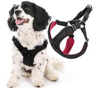 Gooby Escape Free Arnés Deportivo para Perros pequeños de Neopreno Patentado sin estrangulamiento, Ajuste de 4 Puntos, para Perros pequeños y medianos sin tirones, para Uso Diario, Negro, Talla L