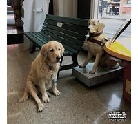 GOOD MORNING - THE OPTION (RED VINYL) [Vinilo]