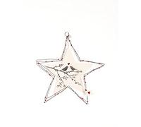 Good old Friends Gran estrella de joyería para pájaros de invierno