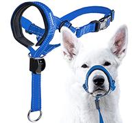 GoodBoy Cabestro de cabeza de perro con correa de seguridad - Detiene el tirón pesado de la correa - Collar de cabeza acolchado para tamaños de perro pequeño mediano y grande - Guía de entrenamiento