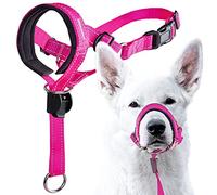 GoodBoy Cabestro de cabeza de perro con correa de seguridad - Detiene el tirón pesado de la correa - Collar de cabeza acolchado para tamaños de perro pequeño mediano y grande - Guía de entrenamiento