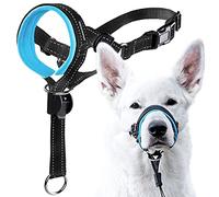 GoodBoy Cabestro de Cabeza de Perro con Correa de Seguridad, Evita los tirones Pesados de la Correa, Collar Acolchado para Perros pequeños, medianos y Grandes, guía de Entrenamiento incluida (Talla 1