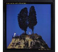 goodbye cruel world LP