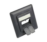 GoodConnections GC-N0054 Marco Regleta 2 RJ45 Gris 80x80mm para Zentralstück 50x50mm - Panel de Conexión
