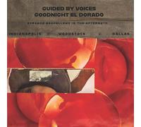 Goodnight El Dorado Strange Bedfellows in the Aftermath [Vinilo]