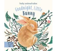 Goodnight, Little Bunny: A book about being brave (Baby Animal Tales)