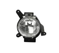 Goodpart TYC 19-0979-01-2-Antiniebla